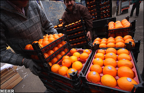 تخفیف ۳۰ درصدی برای حمل میوه صادراتی