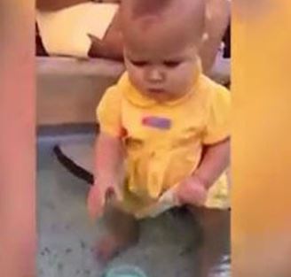 فیلم/ شنا کردن حیرت انگیز کودک شیرخوار