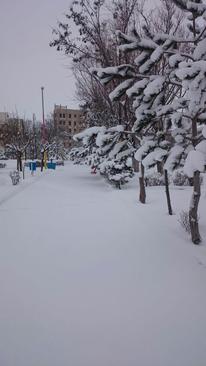 بهمن 94- بارش برف در اردبیل- آرمان امیری