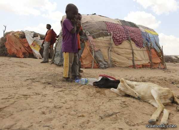 گرسنگی در سومالی ، عکس روز ، عکس روزانه