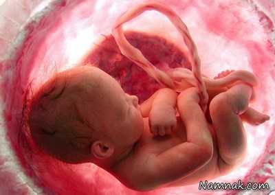 حرکت جنین در بارداری ، حرکت جنین در رحم ، حرکت جنین در دوران بارداری