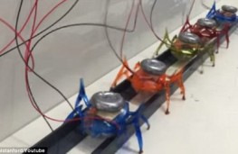 ربات‌های مورچه‌ای که می‌توانند خودرو جابجا کنند