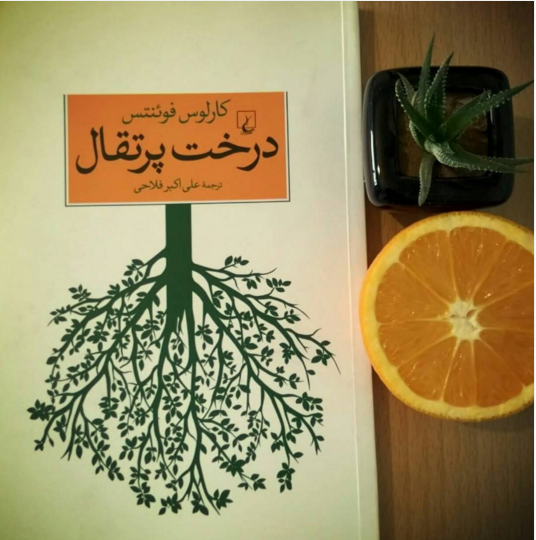 دو خط کتاب/ روایتی متفاوت برای دوست داران قصه های خاص در «درخت پرتقال»