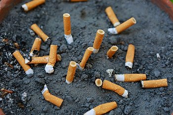 عضوکمیسیون برنامه: افزیش مالیات بر سیگار موجب ورشکستگی دخانیات خواهد شد