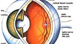 دکتر سلام/ عواملی که چشم شما را پرخون می‌کند
