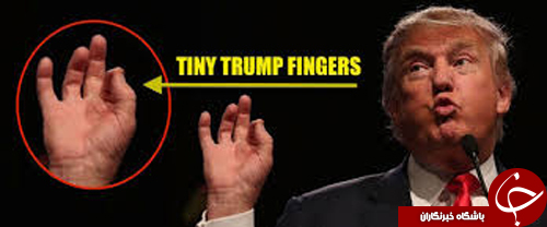 ووکس: انتقاد از انگشتان کوتاه، پاشنه آشیل ترامپ+عکس