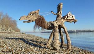 4گوشه دنیا/ مجسمه های چوبی هنرمند مجارستانی در سواحل دریا