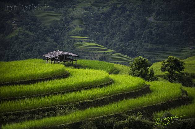 تصاویر زیبا از ویتنام