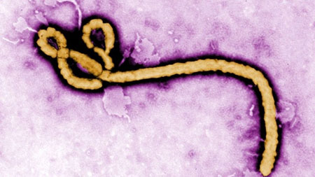 اپیدمی ابولا دیگر خطرناک نیست