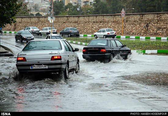 عکس: طبیعت بارانی شیراز