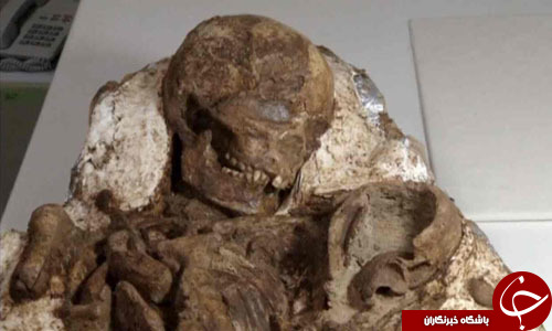کشف فسیل انسانی 4800 ساله در تایوان مربوط به دوران نوسنگی