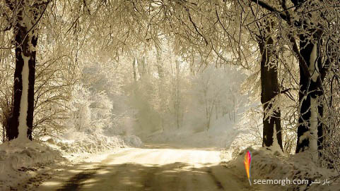 جاده زیبای برفی