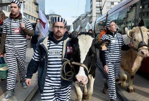 کشاورزان در لباس اعتراض به اقدامات اخیر پلیس فرانسه