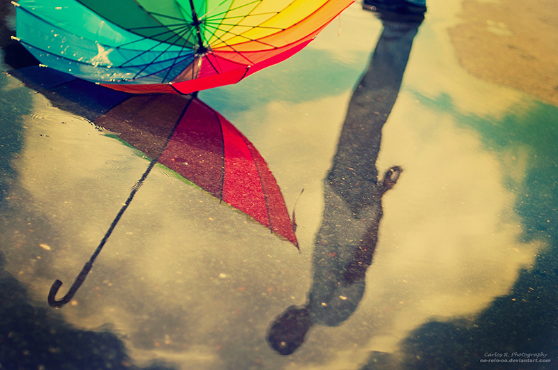 شاعرانه/ میگویی باران را دوست دارم اما وقتی باران میبارد چتر به دست میگیری!