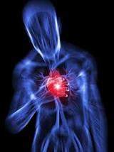 دکتر سلام/ ژنتیک، عامل 50 درصد بیماری‌های قلبی