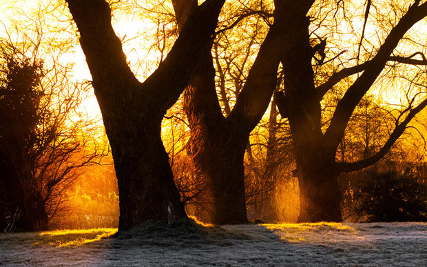 عکس/ طبیعت لیورپول هنگام طلوع آفتاب 
