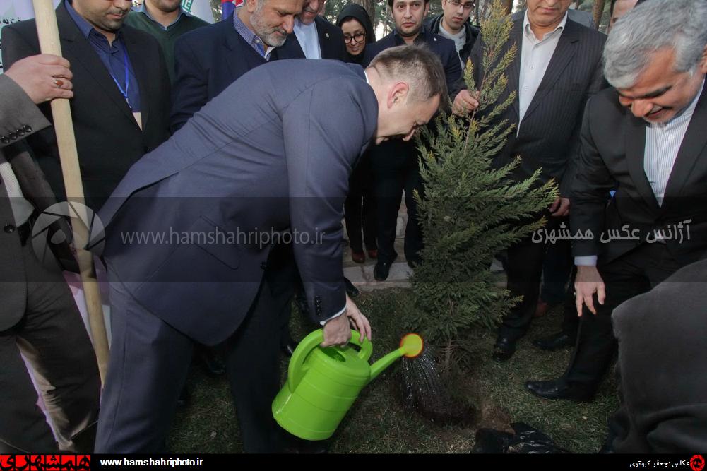 عکس/ کاشت درخت دوستی در مشهد توسط معاون نخست وزیر اسلواکی