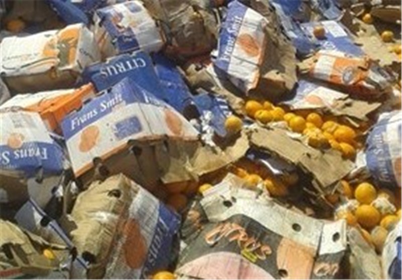 قیمت پرتقال در بازار ۱۱۰ درصد گرانتر از میدان میوه