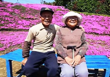 مرد ژاپنی و همسرش در باغ گل خودشان