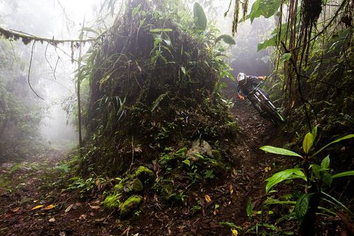 دوچرخه سواری در جنگل های اکوادور