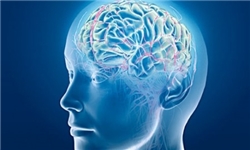 رئیس انجمن مغز و اعصاب: ۷۰۰ هزار نفر مبتلا به صرع هستند