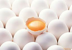 دلایل افزایش قیمت تخم‌مرغ در بازار
