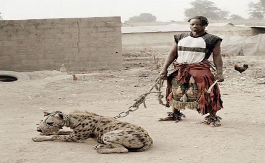 با حیوانات خانگی آفریقا آشنا شوید+ تصاویر