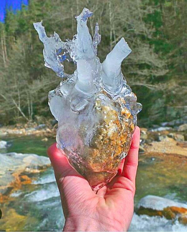 قلب یخی دیده بودید!