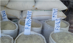واکنش سازمان حمایت به افزایش بهای برنج: قیمت‌های بازار توسط واسطه‌گران مدیریت می‌شود