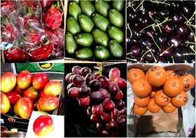 عضو اتاق بازرگانی ایران: این همه میوه از چه کانالی به کشور قاچاق می‌شود؟