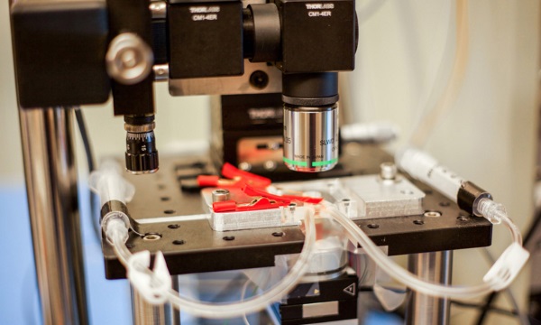 ساخت میکروسکوپی که می تواند به صورت آنی از فرایندهای شیمیایی فیلم بگیرد