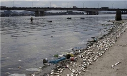 نگرانی مسئولان ورزش جهان از شدت آلودگی آب‌های ریو 
