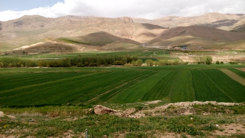 مزارع کشاورزی روستای عیسی آباد