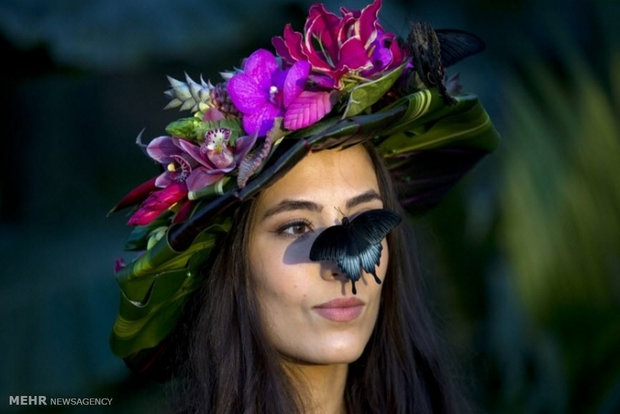 عکس/ جشنواره «فصل پروانه ها» در انگلیس