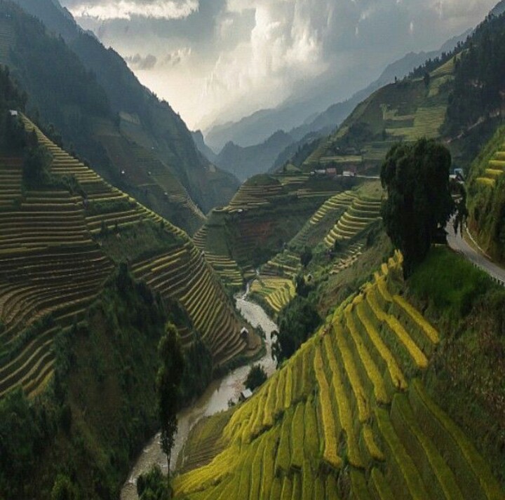 طبیعت زیبای ویتنام