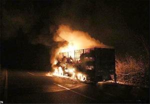 حوادث/ زنده زنده سوختن ۳۰۰ بز در آتش‌سوزی کامیون در چین