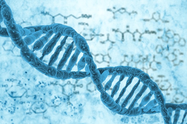 محققین دانشگاه جورجیا کوچکترین قطعه الکترونیکی جهان را با استفاده از مولکول DNA توسعه دادند