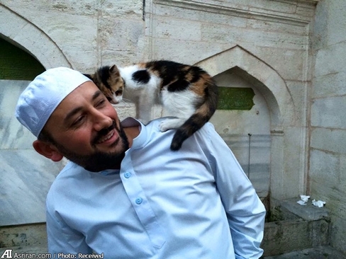 امام جماعت مسجد در حال بازی با گربه