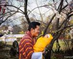 108 هزار درخت برای تولد شاهزاده! + تصاویر