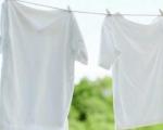 توصیه‌هایی مخصوص خانم خانه‌دار برای شستن تی شرت
