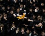 عکس/ چنگ زدن یهودیان ارتدوکس به ظرف پرتقال