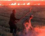 دولت به  خسارت دیدگان آتش سوزی مزارع بیله سوار تسهیلات مالی می دهد
