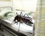 پنجمین مورد ابتلا به ویروس زیکا در کره جنوبی شناسایی و تایید شد
