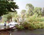 خسارت باد شدید در برخی مناطق استان گلستان