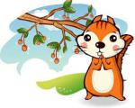 قصه کودکانه/ عجله سنجاب کوچولو برای بزرگ شدن