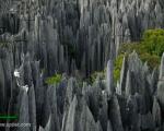 اکوتوریسم/ جنگل صخره ای مکانی‌ شگفت‌انگیز و جالب در ماداگاسکار
