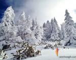 عکس/ تصاویر زیبا از زمستان و برف