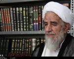 عضو جامعه مدرسین:امام رضا(ع) به ایران و ایرانی عزت بخشیدند