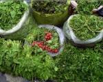 بازار/ قیمت انواع سبزیجات در میادین تره بار