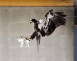 4گوشه دنیا/ استفاده عجیب پلیس از عقاب برای مقابله با پهپادهای مزاحم